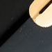 Esterbrook Estie Ebony Gold Trim Vulpen